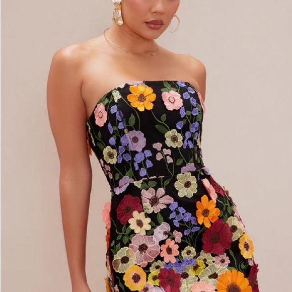 Fashion Nova Dresses & Skirts - Marcella Embroidered A-Line Mini Dress - Black/combo